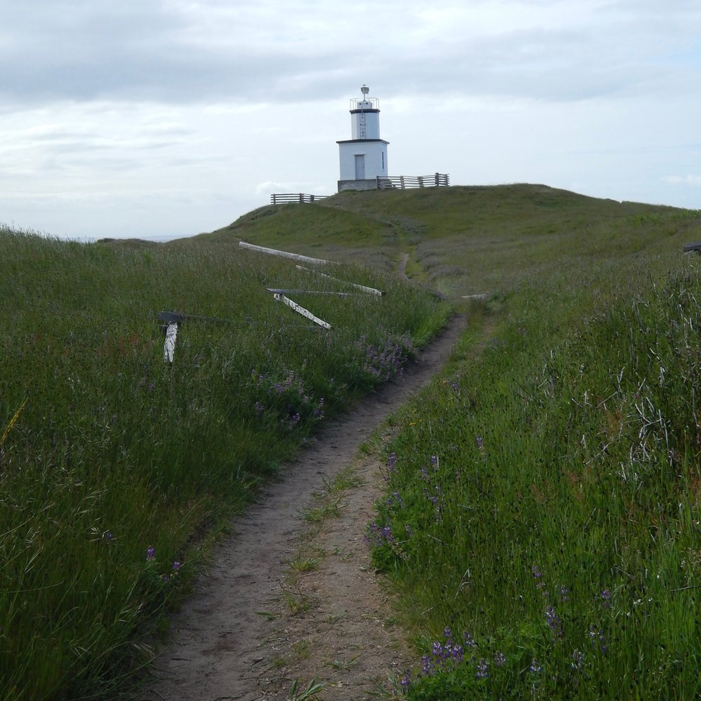 Cattle Point Lighthouse - Nearing the lighthouse. - Landmarks & Historical Buildings Near Me - Lopez Island, Washington Cattle Point Lighthouse - Nearing the lighthouse. - Landmarks & Historical Buildings Near Me - Lopez Island, Washington