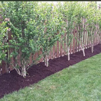 Roth Landscaping - Tree installation and mulching - Landscaping Near Me Roth Landscaping - Tree installation and mulching - Landscaping Near Me