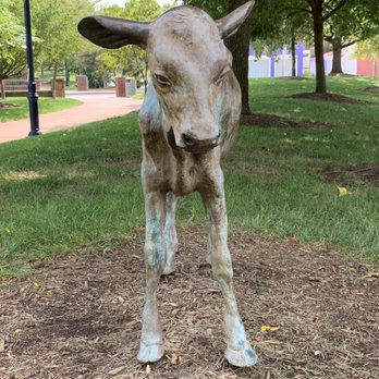 Carroll Creek Park - Is it art, or is it a calf? Hmmm?!?! - Parks Near Me - Frederick, Maryland Carroll Creek Park - Is it art, or is it a calf? Hmmm?!?! - Parks Near Me - Frederick, Maryland