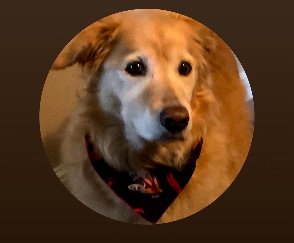 Chirag R Vaid, DDS - patient advocate in Sacramento, CA