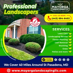 Mayorga Landscaping - Professional Services