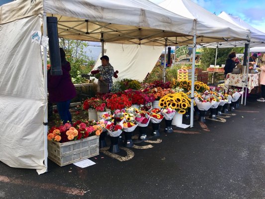 Portland Farmers Market - King by null