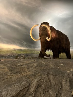 Royal BC Museum by null