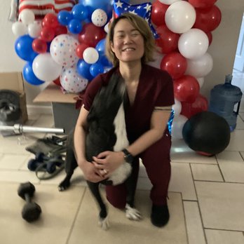 Naturally Beautiful Event Decorating & More - Balloon arrangement to celebrate my wife's citizenship - Balloon Services Near Me Naturally Beautiful Event Decorating & More - Balloon arrangement to celebrate my wife's citizenship - Balloon Services Near Me