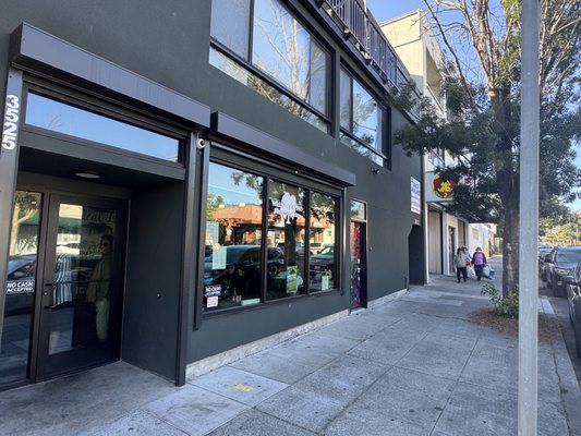 Willows & Pine by null