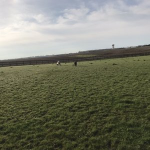 FISH LAKE BEACH CAMPING RESORT - 56 Photos & 43 Reviews - 32223 N US