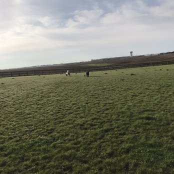 FISH LAKE BEACH CAMPING RESORT - Updated June 2025 - 56 Photos & 50