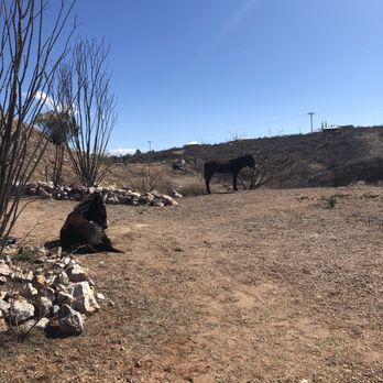 Good Enough Mine Tour - Historical Tours Near Me - Tombstone, Arizona