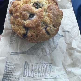 Gallup Coffee Company - Blueberry muffin - Coffee & Tea Near Me - Gallup, New Mexico Gallup Coffee Company - Blueberry muffin - Coffee & Tea Near Me - Gallup, New Mexico