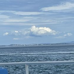 Prince of Whales - View