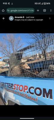 Wildlife Control Experts - Critter Stop specializes in expert wildlife removal and insulation solutions. We proudly serve Oklahoma City and its surrounding areas with top-notch service. Customer satisfaction and trust are the cornerstones of our business, and we prioritize the safety of your home, loved ones, and pets. We proudly offer an industry-leading guarantees, ensuring peace of mind for our clients if rodents return to their home after we’ve completed the work. Wildlife Control Experts - Critter Stop specializes in expert wildlife removal and insulation solutions. We proudly serve Oklahoma City and its surrounding areas with top-notch service. Customer satisfaction and trust are the cornerstones of our business, and we prioritize the safety of your home, loved ones, and pets. We proudly offer an industry-leading guarantees, ensuring peace of mind for our clients if rodents return to their home after we’ve completed the work.