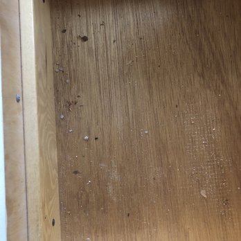 Southern Management Rentals - Mose droppings and filth in every drawer and cabinet - Property Management Near Me - Glen Rock, Pennsylvania Southern Management Rentals - Mose droppings and filth in every drawer and cabinet - Property Management Near Me - Glen Rock, Pennsylvania