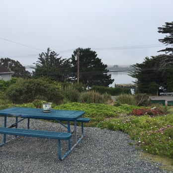 Bodega Harbor Inn - Picnic area which is right next to all their cute chairs they have set up over looking the Bay. - Hotels Near Me - Bodega Bay, California