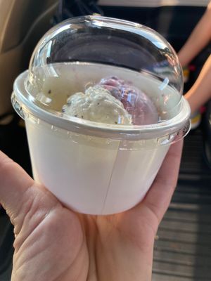 Golly G's Ice Cream by null