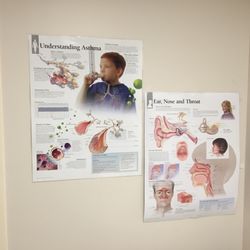 Poster in pediatrics office about the anatomy of some conditions children can suffer from.
