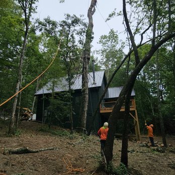 Mountain Tree Professionals - Tree removal | Tree trimming | Mountain Tree Professionals LLC - Tree Services Near Me - Pisgah Forest, North Carolina
