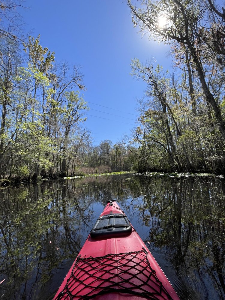 Florida Man Grove Jacksonville - O