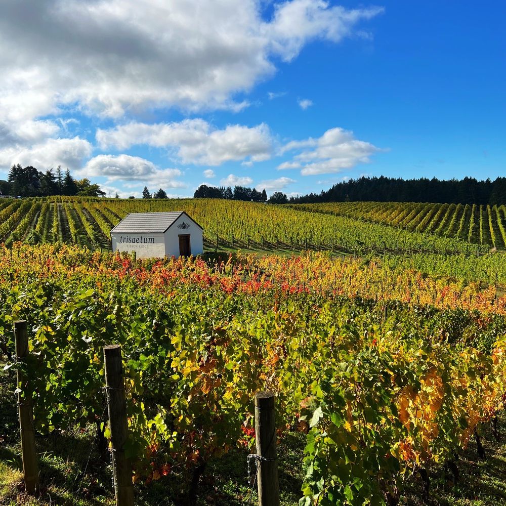 Trisaetum Winery - Wineries Near Me - Newberg, Oregon Trisaetum Winery - Wineries Near Me - Newberg, Oregon