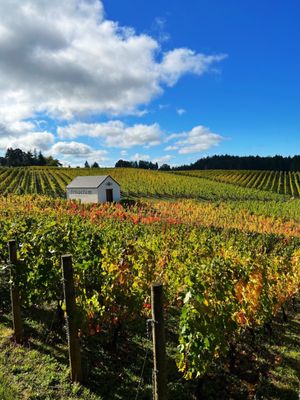 Trisaetum Winery by null
