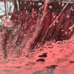Tommy's Express® Car Wash - Carwash