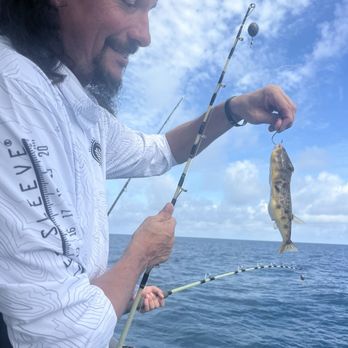 Hubbard's Marina - Puffer fish - Boating Near Me - Madeira Beach, Florida
