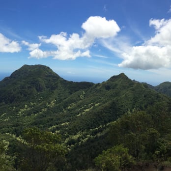 Mt Ka'ala Trail - Ridgeline - Hiking Near Me - Waianae, Hawaii
