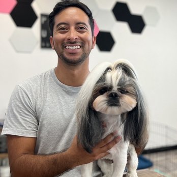 Paws Up Boutique - Chris at Paws Up showing us our beautiful baby Lani. - Pet Groomers Near Me - Honolulu, Hawaii