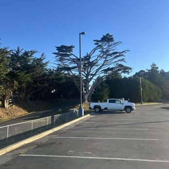 Bear River Casino Resort - Cool tree near parking lot - Casinos Near Me - Loleta, California Bear River Casino Resort - Cool tree near parking lot - Casinos Near Me - Loleta, California