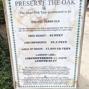 Angel Oak - Parks Near Me - Johns Island, South Carolina Angel Oak - Parks Near Me - Johns Island, South Carolina
