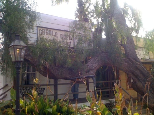 New Orleans Creole Cafe by null