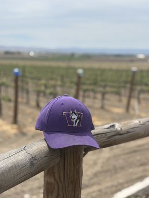 Hat Ranch Winery by null