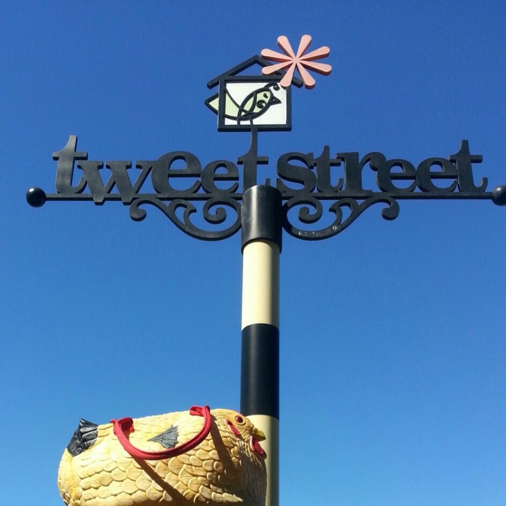 Camilla the Yelping Hen hanging at the park! Camilla the Yelping Hen hanging at the park!