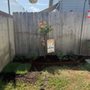 Photo of EM Landscaping