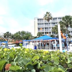 Sandbar Beach Bar - Sandbar Beach Bar & Grill, RumFish Beach Resort by Tradewinds
