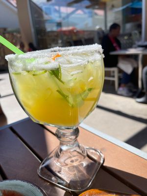 El Gato Negro - Lakeview by null