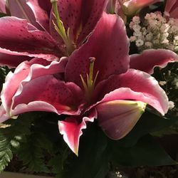 Flower Hub PCB - Beautiful variety of lilies carefully packaged for a successful delivery!