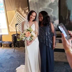 David's Bridal - Davids bridal dress and veil