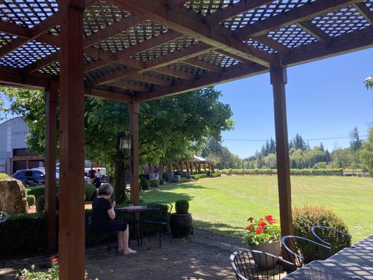 Bethany Vineyard & Winery by null