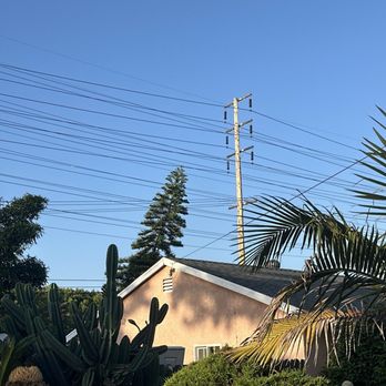 Salazar Tree care - Pine Tree that we had to cut. - Tree Services Near Me Salazar Tree care - Pine Tree that we had to cut. - Tree Services Near Me