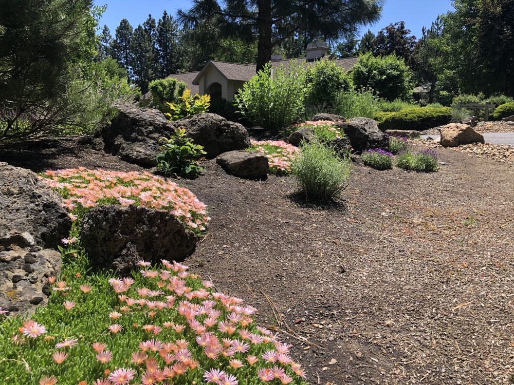 Slide of Blooming Desert Design + Build