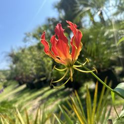 Nature's Own Nursery