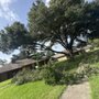 Photo of Ascension Lawncare Services