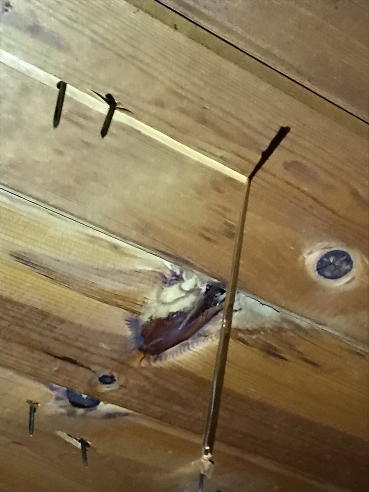 Slide of ECR Roofing & Solar