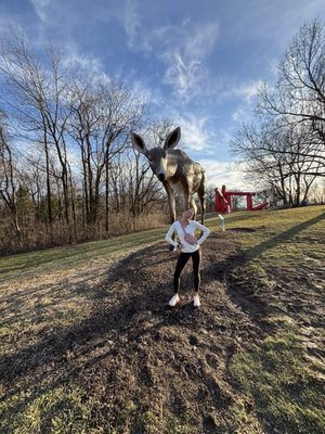 Laumeier Sculpture Park by null