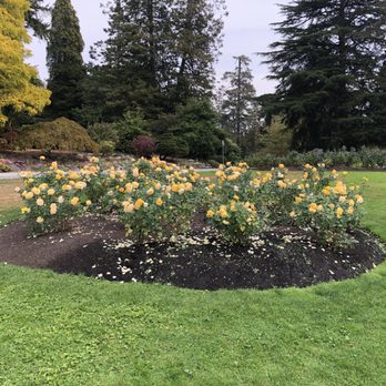 Stanley Park - Parks Near Me - Vancouver, British Columbia