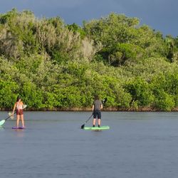 RiverWitch Kayak Rentals & Tours