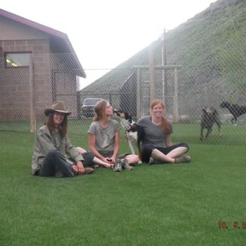 Red Rover Resort - Our pup loving the Red Rover team! - Pet Sitting Near Me - Steamboat Springs, Colorado Red Rover Resort - Our pup loving the Red Rover team! - Pet Sitting Near Me - Steamboat Springs, Colorado