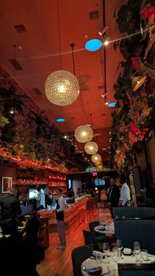 Las' Lap Miami by null