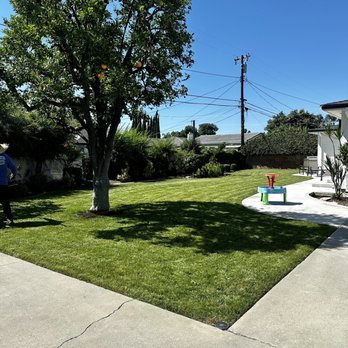 Martinez Tree Service - Tree Services Near Me
