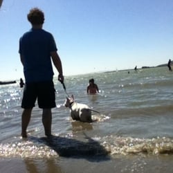 Sherman Island County Park - Everybody loves swim!